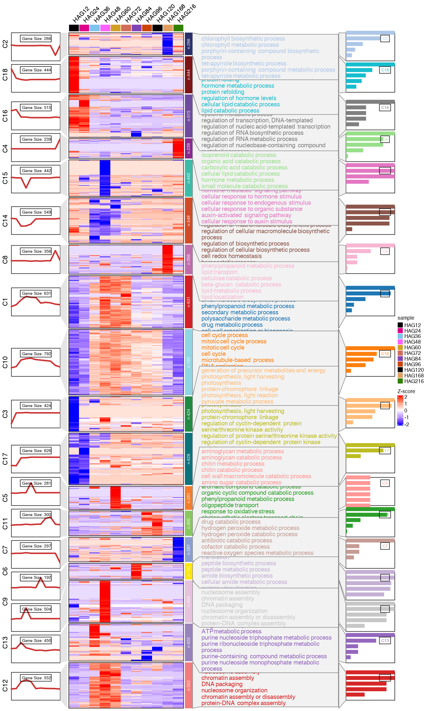 ../../_images/notebooks_CC_DD_DE_overlap_CC_DD_FC_overlap_cluster_17_1.png