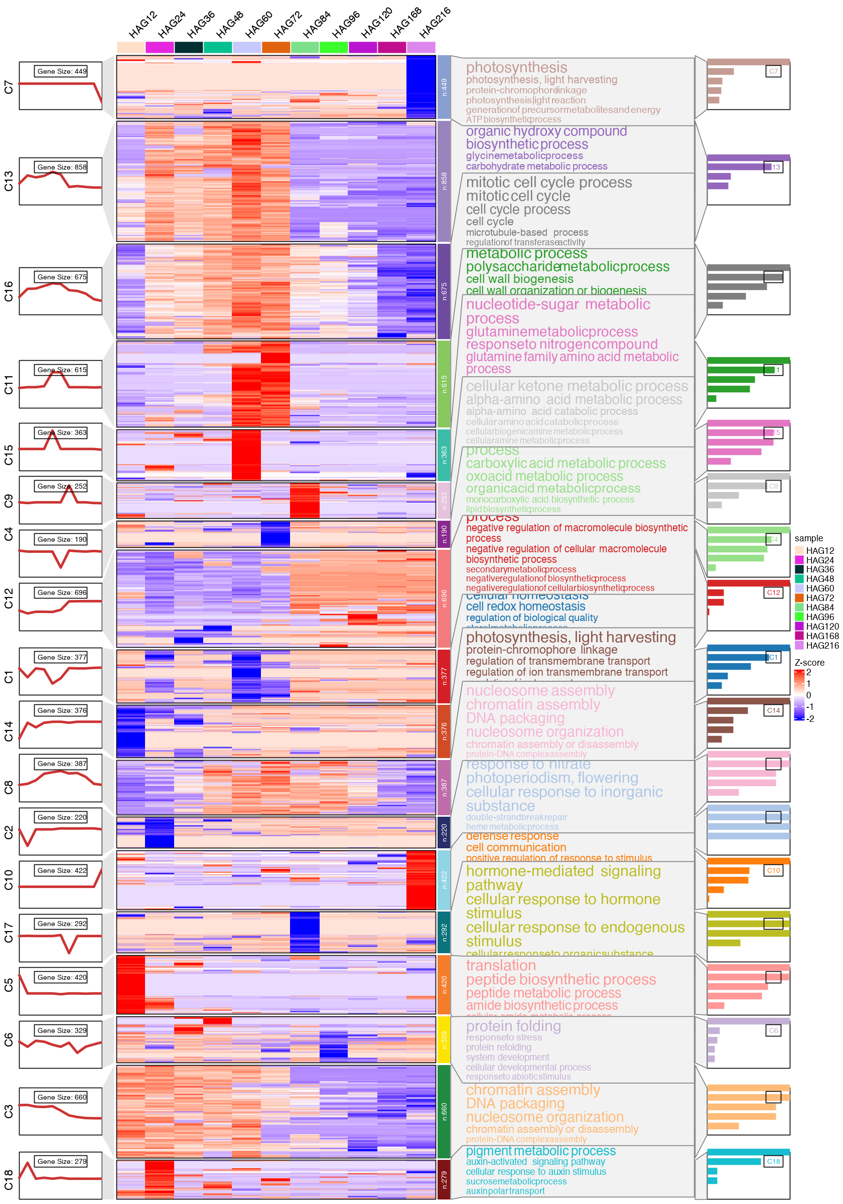 ../../_images/notebooks_CC_DD_DE_overlap_CC_DD_FC_overlap_cluster_39_1.png