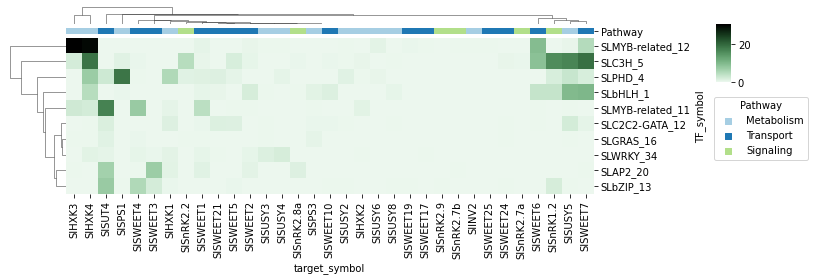 ../../_images/notebooks_GRN_TF_grn_network_19_1.png