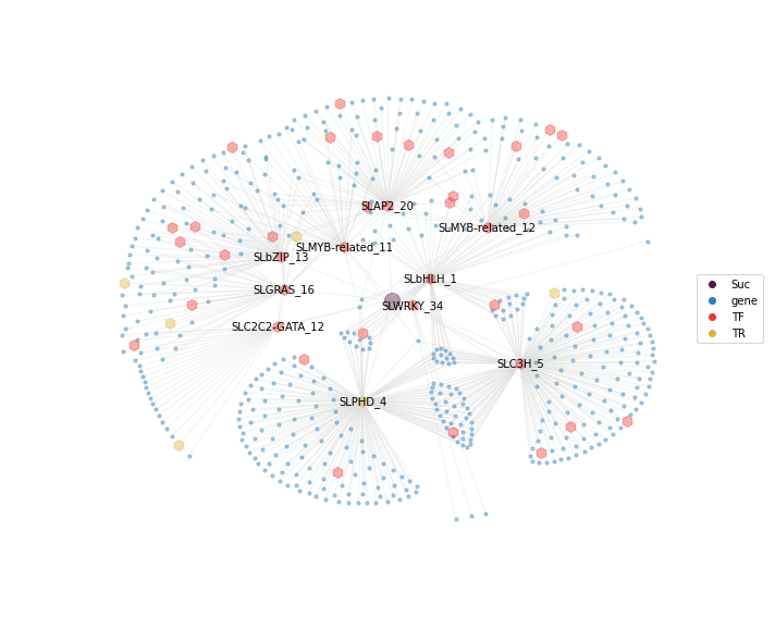../../_images/notebooks_GRN_TF_grn_network_26_0.png