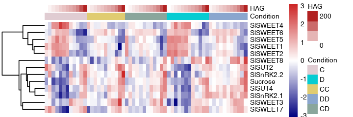../../_images/notebooks_heatmap12_sugar_corr_gene_exp_heatmap_6_0.png