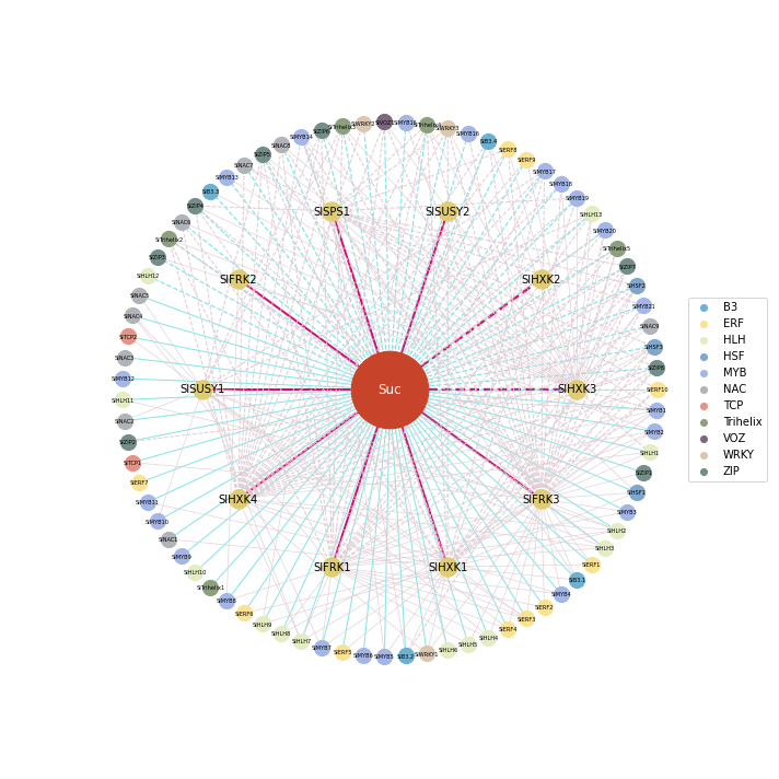 ../../_images/notebooks_network_complex_network_6_0.png