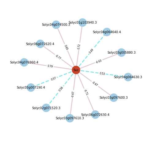 ../../_images/notebooks_network_sugar_networkX_1_1.png